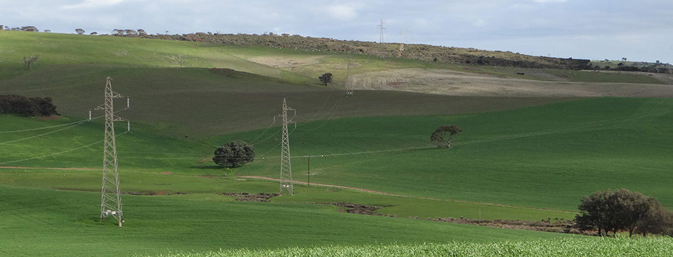 Transmission lines in the Lower Eyre Peninsula